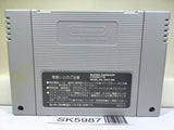 Turn and Burn No-Fly Zone Dogfight F14 Super Famicom SNES Japan - SK5987