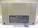 The Legend Of Zelda A Link to the Past Super Famicom SNES Japan - SK5994