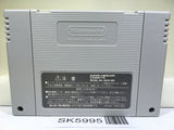 The Legend Of Zelda A Link to the Past Super Famicom SNES Japan - SK5995