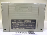The Legend Of Zelda A Link to the Past Super Famicom SNES Japan - SK5996