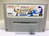 Human Grand Prix 3 F1 Triple Battle Racing Super Famicom SNES Japan - SK6009