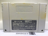 Dragon Ball Z Super Saiya Densetsu Nintendo Super Famicom SNES Japan - SK6023
