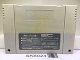 Dragon Ball Z Super Saiya Densetsu Nintendo Super Famicom SNES Japan - SK6024