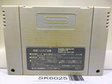 Dragon Quest V 5 Nintendo Super Famicom SNES Japan - SK6025