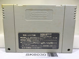Final Fantasy VI 6 Nintendo Super Famicom SNES Japan - SK6030
