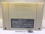 F1 Grand Prix Part 2 Racing Nintendo Super Famicom SNES Japan - SK6031