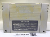 Super Street Fighter II 2 Nintendo Super Famicom SNES Japan - SK6035