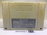 Gundam F91 Formula Senki 0122 Nintendo Super Famicom SNES Japan - SK6061