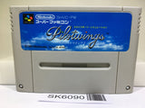 Pilotwings Nintendo Super Famicom SNES Japan - SK6090