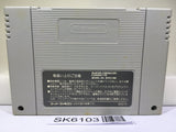 Dragon Slayer The Legend of Heroes 2 Nintendo Super Famicom SNES Japan - SK6103