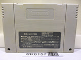 World Heroes Nintendo Super Famicom SNES Japan - SK6157