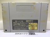 Dragon Ball Z Super Butouden Nintendo Super Famicom SNES Japan - SK6177
