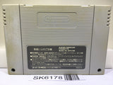Dragon Ball Z Super Butouden Nintendo Super Famicom SNES Japan - SK6178