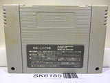 Dragon Ball Z Super Butouden 2 Nintendo Super Famicom SNES Japan - SK6180