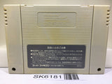 Dragon Ball Z Super Saiya Densetsu Nintendo Super Famicom SNES Japan - SK6181