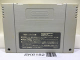 Dragon Ball Z Super Saiya Densetsu Nintendo Super Famicom SNES Japan - SK6182