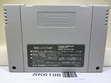 Battle Soccer 2 Nintendo Super Famicom SNES Japan - SK6198