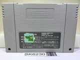 Angelique Nintendo Super Famicom SNES Japan - SK6230
