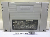 Fatal Fury Special Nintendo Super Famicom SNES Japan - SK6239