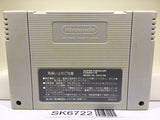 Dai Senryaku Expert Nintendo Super Famicom SNES Japan - SK6722