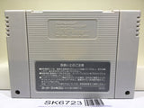 Dimension Force Nintendo Super Famicom SNES Japan - SK6723