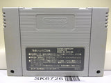 Psycho Dream Nintendo Super Famicom SNES Japan - SK6726