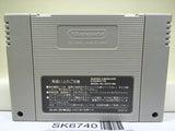 Elfaria II 2 The Quest of the Meld Nintendo Super Famicom SNES Japan - SK6740