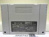 Naruhodo! The World Nintendo Super Famicom SNES Japan - SK6742