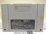 From TV Animation Slam Dunk 2 Nintendo Super Famicom SNES Japan - SK6743