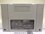 Pilotwings Nintendo Super Famicom SNES Japan - SK6757