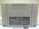 Dungeon Master Nintendo Super Famicom SNES Japan - SK6761