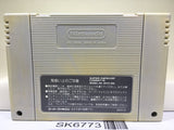 Street Fighter II 2 Nintendo Super Famicom SNES Japan - SK6773