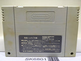 Dragon Quest V 5 Nintendo Super Famicom SNES Japan - SK6801