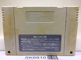 Dragon Ball Z Super Saiya Densetsu Nintendo Super Famicom SNES Japan - SK6810