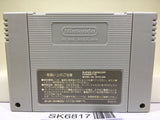 TMNT Turtles Mutant Warriors Nintendo Super Famicom SNES Japan - SK6817