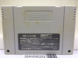 Chou Makaimura Super Ghouls 'n Ghosts Nintendo Super Famicom SNES Japan - SK6820