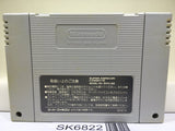 Space Invaders The Original Game Nintendo Super Famicom SNES Japan - SK6822