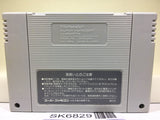 Lemmings Nintendo Super Famicom SNES Japan - SK6829