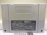 Super Donkey Kong Country Nintendo Super Famicom SNES Japan - SK6842