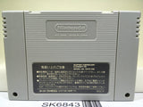 Super Donkey Kong Country Nintendo Super Famicom SNES Japan - SK6843