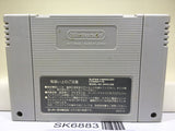 JoJo's Bizzare Adventure JoJo GioGio Nintendo Super Famicom SNES Japan - SK6883