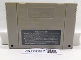 Exhaust Heat F1 ROC Race of Champions Nintendo Super Famicom SNES Japan - SK6897