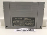 Dragon Ball Z Super Butouden 2 Nintendo Super Famicom SNES Japan - SK6903