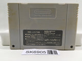 Dragon Ball Z Super Butouden 2 Nintendo Super Famicom SNES Japan - SK6905