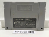 Dragon Ball Z Super Butouden 2 Nintendo Super Famicom SNES Japan - SK6906