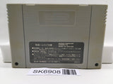Dragon Ball Z Super Butouden Nintendo Super Famicom SNES Japan - SK6908