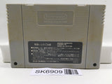 Dragon Ball Z Super Saiya Densetsu Nintendo Super Famicom SNES Japan - SK6909