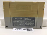 Dragon Ball Z Super Saiya Densetsu Nintendo Super Famicom SNES Japan - SK6910