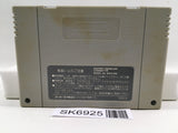 Final Fantasy 5 V Nintendo Super Famicom SNES Japan - SK6925