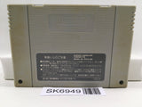 Fatal Fury Nintendo Super Famicom SNES Japan - SK6949
